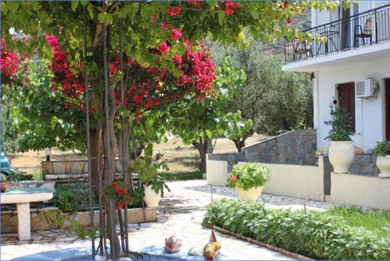 Ballas Apartments Agia Efimia Exterior foto